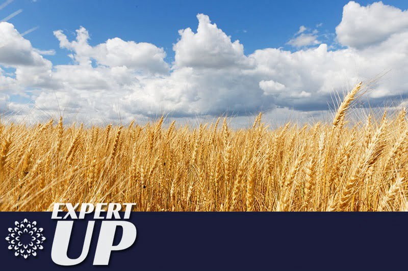 Picture related to province of Saskatchewan in Canada